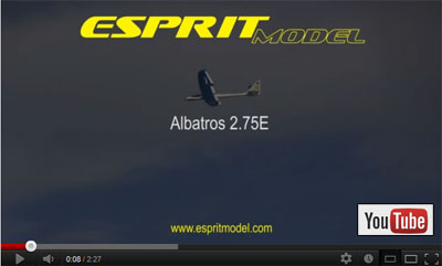 New HD Video of the Albatros 2.75E