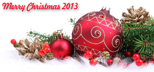 Merry Cristmas 2013