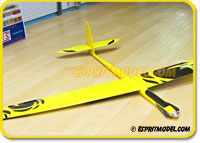 Store Display Rc Typhoon 2E Carbon