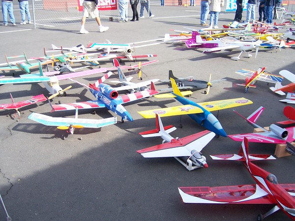 Arizona Electric Festival 2006