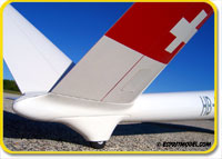 Click for larger photo Glasflugel H-101 Salto (ARF) Super Scale