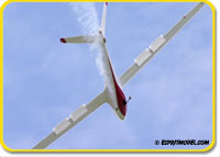 Click for larger photo Glasflugel H-101 Salto (ARF) Super Scale