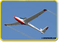 Click for larger photo Glasflugel H-101 Salto (ARF) Super Scale