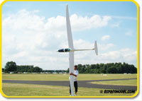 DG-1000 (ARF) Super Scale