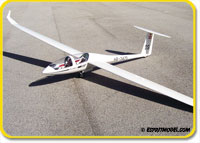DG-1000 (ARF) Super Scale