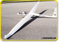 DG-1000 (ARF) Super Scale