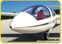 DG-1000 (ARF) Super Scale