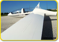 DG-1000 (ARF) Super Scale