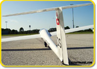 DG-1000 (ARF) Super Scale