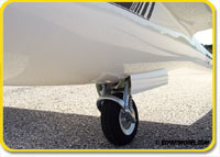 DG-1000 (ARF) Super Scale