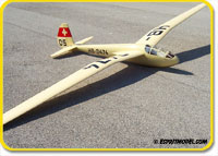 DFS Reiher II (ARF) Super Scale