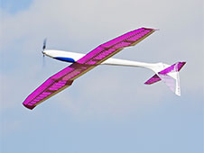 Albatros 2.75S/E (ARF)