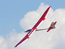 Albatros 3S/E
