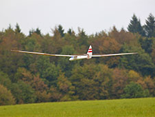 Albatros 3S/E (ARF)