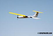 Stinger Pylon Racer
