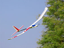 Super Fun 1.3E (ARF)