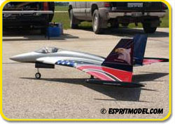 Wild Hornet EDF120 (ARF Composite)