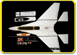 Wild Hornet EDF120 (ARF Composite)