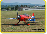 Sukhoi 29 S220 (ARF) (Pre-Order)