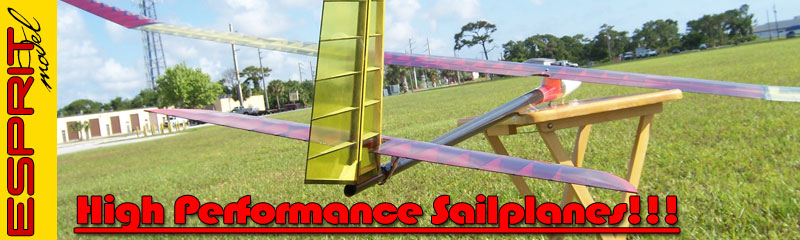 Hight Performance Sailplane