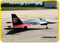 Wild Hornet EDF120 (ARF) 
