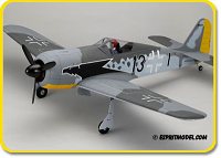 Focke Wulf Fw 190 50 (ARF)