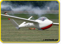 Salto H-101 Super Scale Sailplane