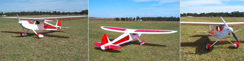 Rascal 110 cheap rc plane