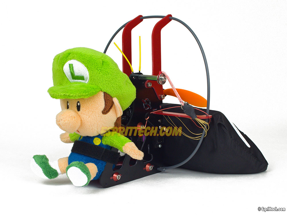 Paraglider Pilot Baby Luigi