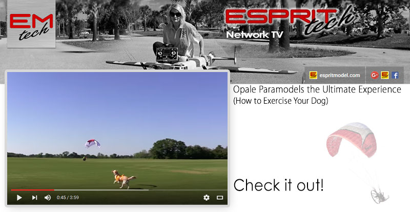 Opale Paramodels the Ultimate Experience (How to Exercise Your Dog)