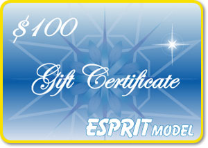 Esprit Model eGift Certificate $100.00